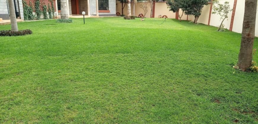 Quick Sale | Runda 5 Bedroom All Ensuite plus 2 DSQs